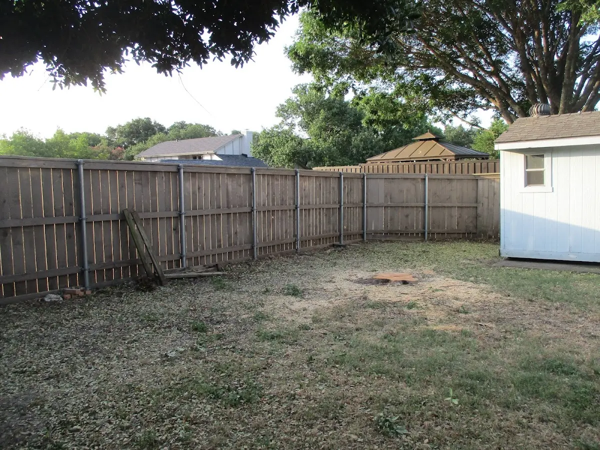 Cleared yard after professional tree removal in Pocomoke City